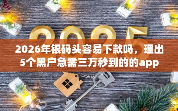 2026年银码头容易下款吗，理出5个黑户急需三万秒到的的app