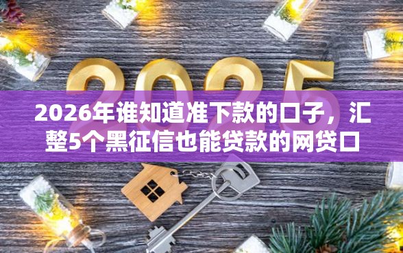 2026年谁知道准下款的口子，汇整5个黑征信也能贷款的网贷口子