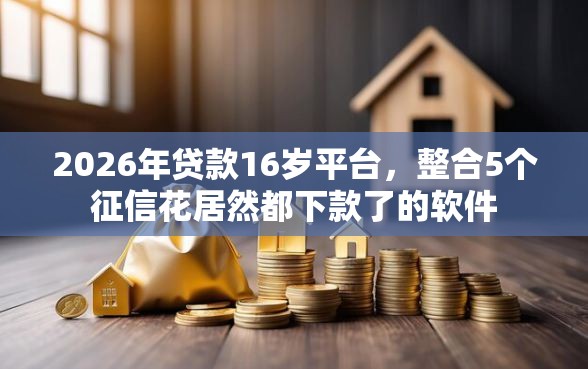 2026年贷款16岁平台，整合5个征信花居然都下款了的软件