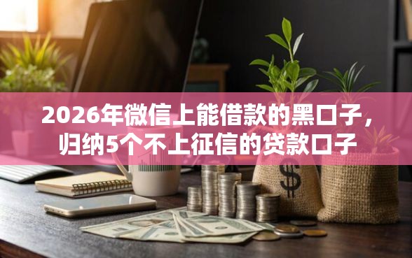 2026年微信上能借款的黑口子，归纳5个不上征信的贷款口子