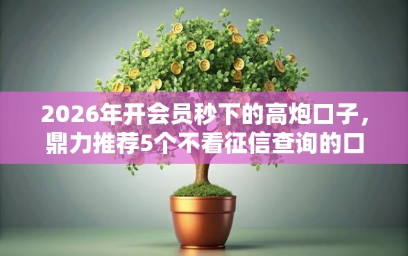 2026年开会员秒下的高炮口子，鼎力推荐5个不看征信查询的口子