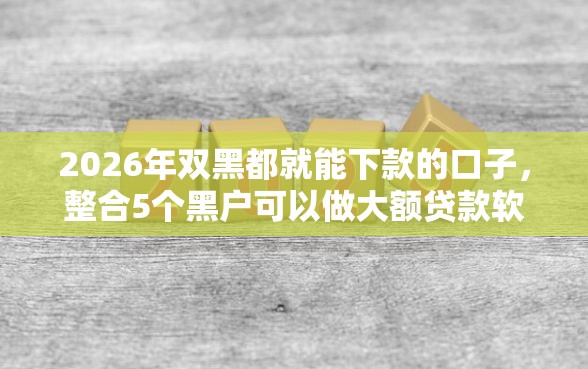 2026年双黑都就能下款的口子，整合5个黑户可以做大额贷款软件