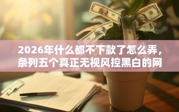 2026年什么都不下款了怎么弄，条列五个真正无视风控黑白的网贷平台