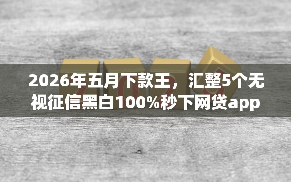 2026年五月下款王，汇整5个无视征信黑白100%秒下网贷app