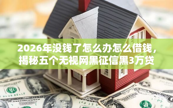 2026年没钱了怎么办怎么借钱，揭秘五个无视网黑征信黑3万贷款