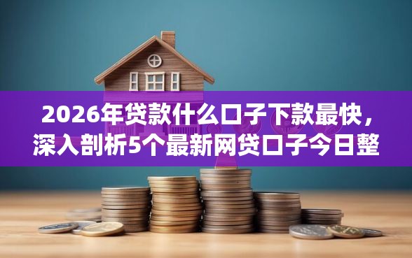 2026年贷款什么口子下款最快，深入剖析5个最新网贷口子今日整理这五个app