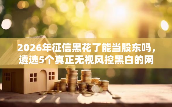2026年征信黑花了能当股东吗，遴选5个真正无视风控黑白的网贷平台