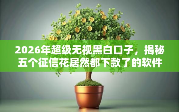 2026年超级无视黑白口子，揭秘五个征信花居然都下款了的软件