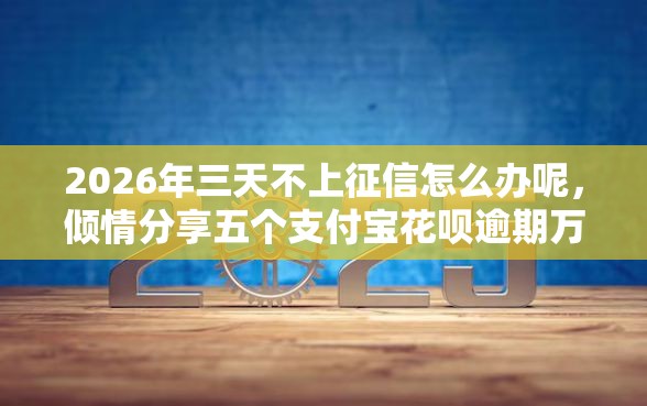 2026年三天不上征信怎么办呢，倾情分享五个支付宝花呗逾期万元快速贷款口子