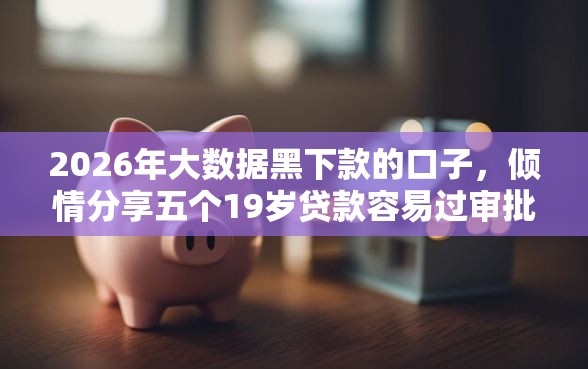 2026年大数据黑下款的口子，倾情分享五个19岁贷款容易过审批的平台