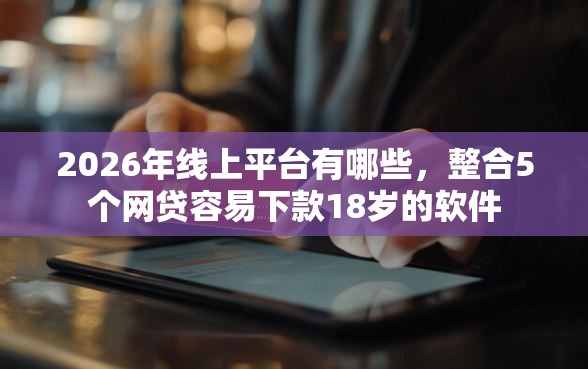 2026年线上平台有哪些，整合5个网贷容易下款18岁的软件