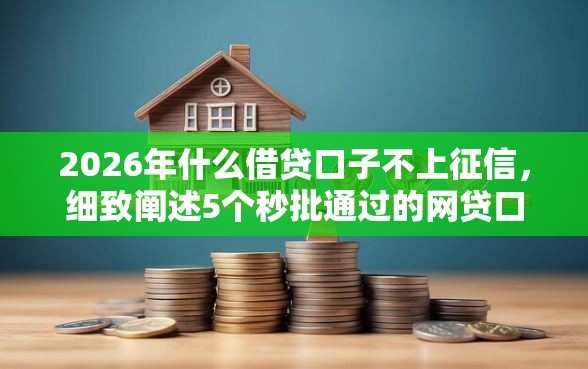 2026年什么借贷口子不上征信，细致阐述5个秒批通过的网贷口子