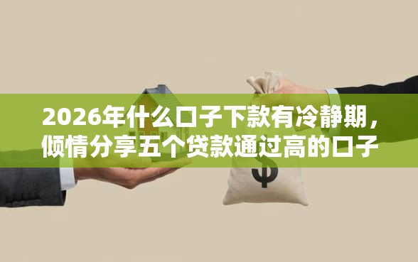 2026年什么口子下款有冷静期，倾情分享五个贷款通过高的口子