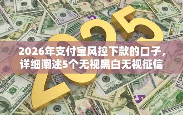 2026年支付宝风控下款的口子，详细阐述5个无视黑白无视征信申请就下款的平台