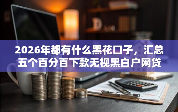 2026年都有什么黑花口子，汇总五个百分百下款无视黑白户网贷平台
