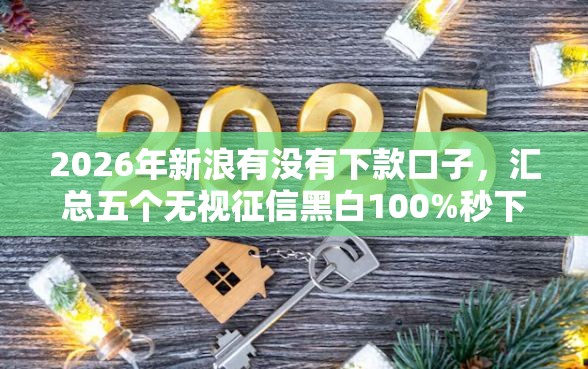 2026年新浪有没有下款口子,汇总五个无视征信黑白100%秒下网贷口子 2026年新浪有没有下款口子,汇总五个无视征信黑白100%秒下网贷口子