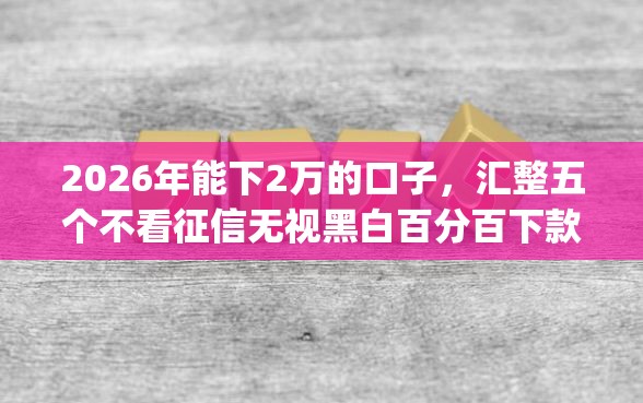 2026年能下2万的口子，汇整五个不看征信无视黑白百分百下款app