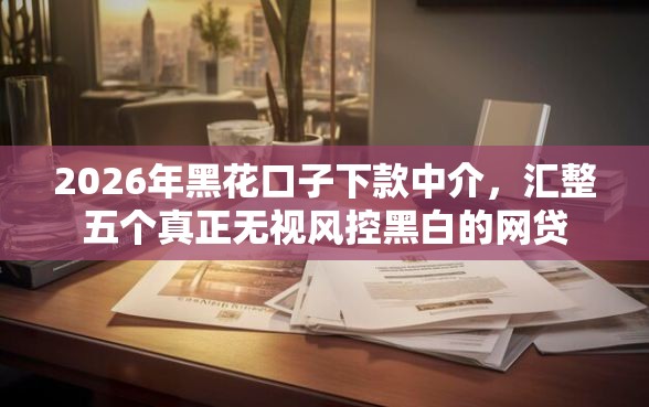 2026年黑花口子下款中介，汇整五个真正无视风控黑白的网贷