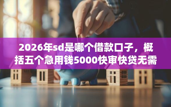 2026年sd是哪个借款口子，概括五个急用钱5000快审快贷无需征信app