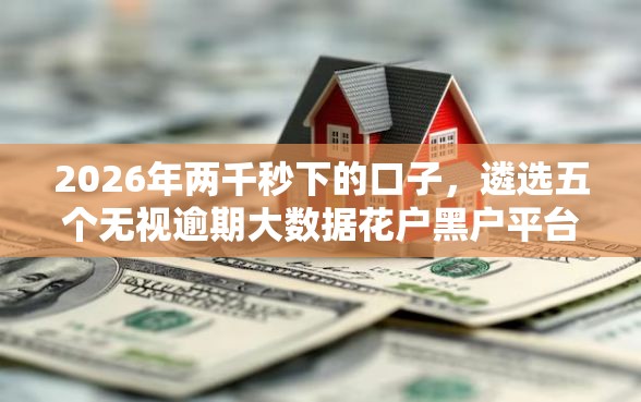 2026年两千秒下的口子，遴选五个无视逾期大数据花户黑户平台