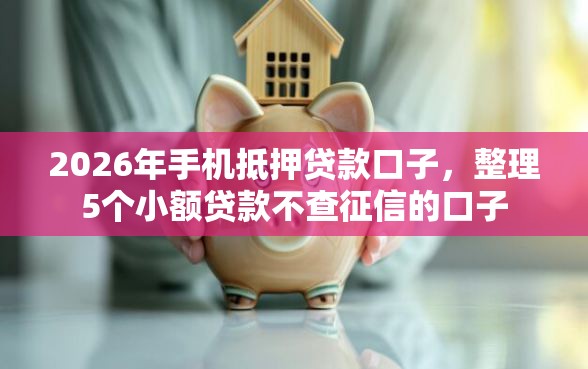 2026年手机抵押贷款口子，整理5个小额贷款不查征信的口子