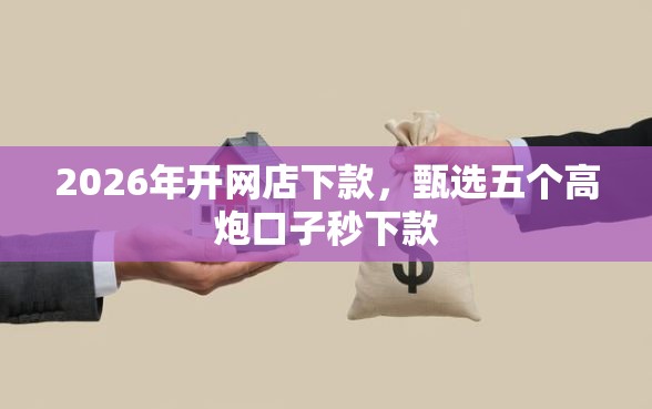2026年开网店下款，甄选五个高炮口子秒下款