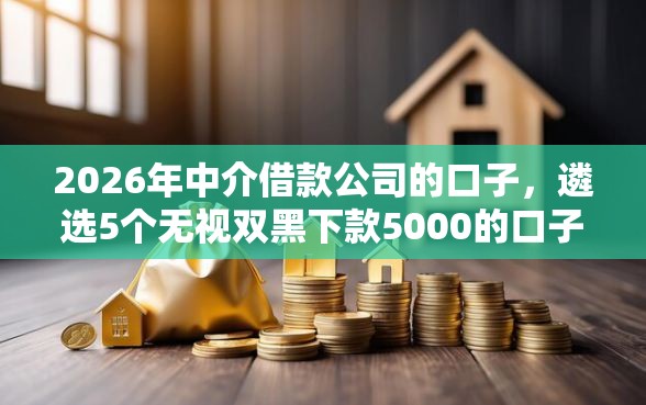 2026年中介借款公司的口子，遴选5个无视双黑下款5000的口子