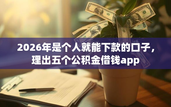 2026年是个人就能下款的口子，理出五个公积金借钱app