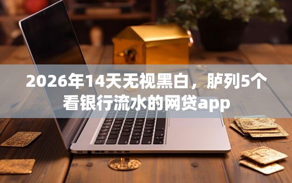 2026年14天无视黑白，胪列5个看银行流水的网贷app