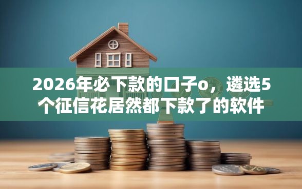 2026年必下款的口子o，遴选5个征信花居然都下款了的软件