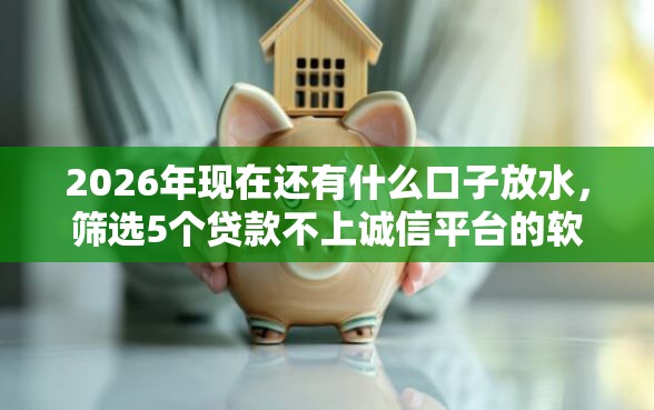2026年现在还有什么口子放水，筛选5个贷款不上诚信平台的软件