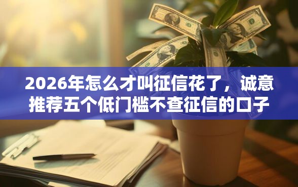 2026年怎么才叫征信花了，诚意推荐五个低门槛不查征信的口子