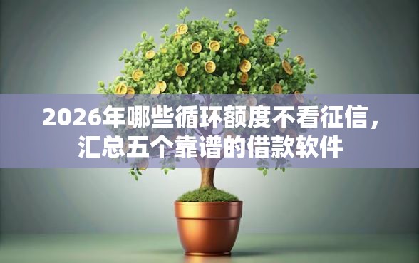 2026年哪些循环额度不看征信，汇总五个靠谱的借款软件