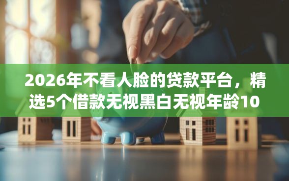 2026年不看人脸的贷款平台，精选5个借款无视黑白无视年龄100%秒过app