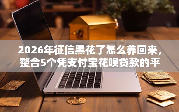 2026年征信黑花了怎么养回来，整合5个凭支付宝花呗贷款的平台