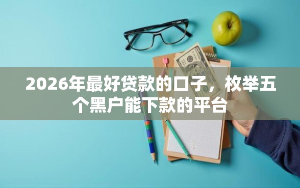 2026年最好贷款的口子，枚举五个黑户能下款的平台