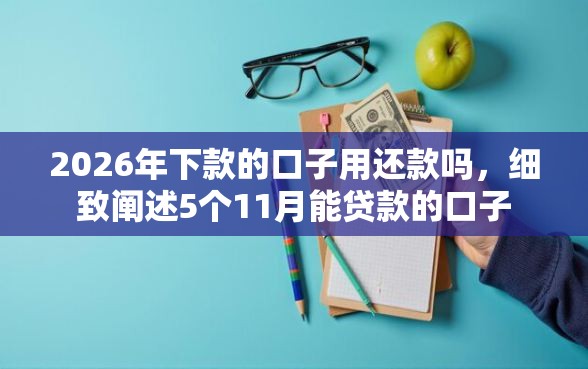 2026年下款的口子用还款吗，细致阐述5个11月能贷款的口子