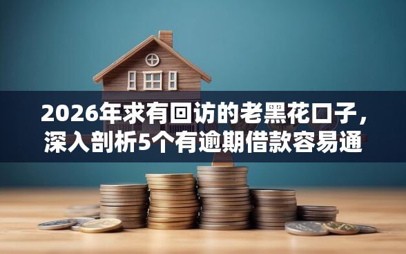 2026年求有回访的老黑花口子，深入剖析5个有逾期借款容易通过的软件
