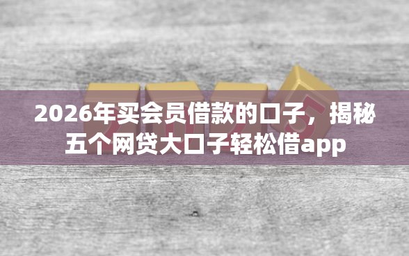 2026年买会员借款的口子，揭秘五个网贷大口子轻松借app