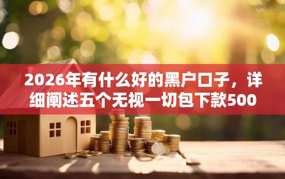 2026年有什么好的黑户口子，详细阐述五个无视一切包下款5000秒下款的平台