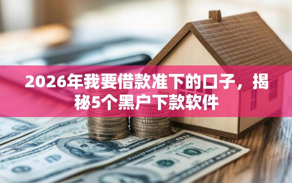 2026年我要借款准下的口子，揭秘5个黑户下款软件