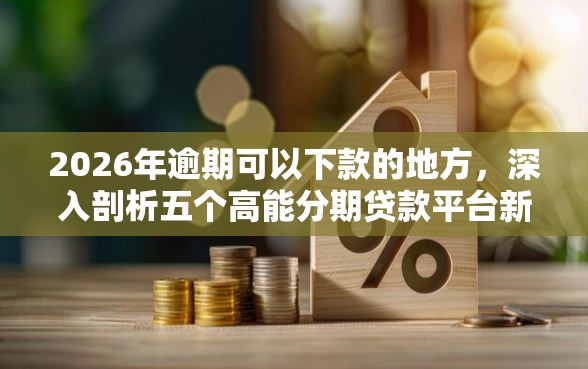 2026年逾期可以下款的地方,深入剖析五个高能分期贷款平台新秀 2026年逾期可以下款的地方,深入剖析五个高能分期贷款平台新秀