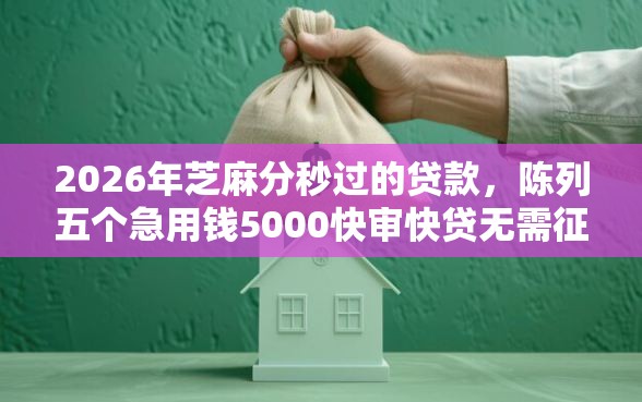 2026年芝麻分秒过的贷款，陈列五个急用钱5000快审快贷无需征信平台