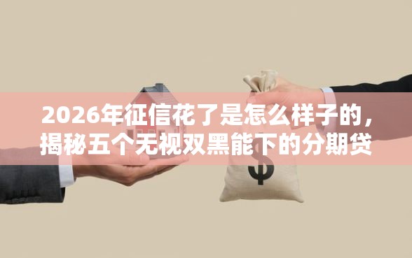 2026年征信花了是怎么样子的，揭秘五个无视双黑能下的分期贷