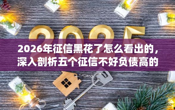 2026年征信黑花了怎么看出的，深入剖析五个征信不好负债高的app