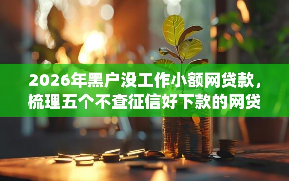 2026年黑户没工作小额网贷款，梳理五个不查征信好下款的网贷app