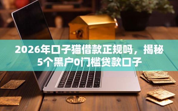 2026年口子猫借款正规吗，揭秘5个黑户0门槛贷款口子
