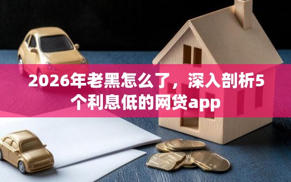 2026年老黑怎么了，深入剖析5个利息低的网贷app