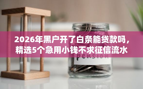 2026年黑户开了白条能贷款吗，精选5个急用小钱不求征信流水轻松贷的app