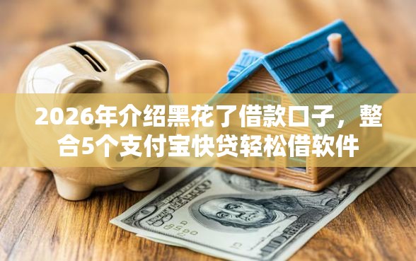 2026年介绍黑花了借款口子，整合5个支付宝快贷轻松借软件